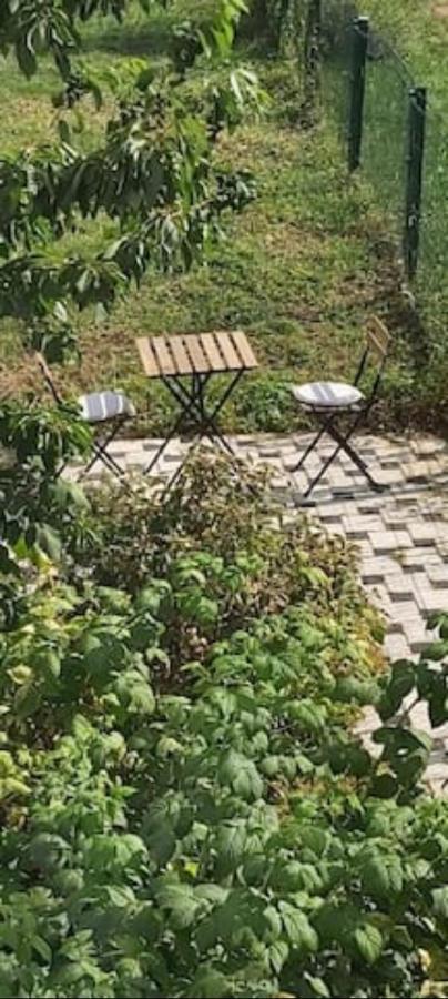 Lovely Appartment With Private Patio And Private Entrance In Luxembourg 60M2 Saeul Екстериор снимка